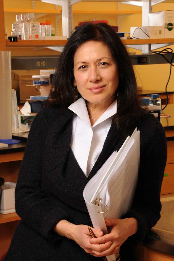 Margaret Karagas, PhD. Photo by Jon Gilbert Fox
