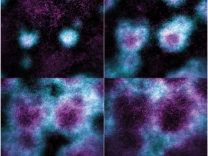 Four panels from time lapse imaging of self-organized Rho (cyan) and  filamentous actin (F-actin, magenta) waves traveling across a supported lipid bilayer. Active Rho leads the wave front and is followed in space and time by F-actin.