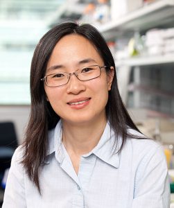 Yina H. Huang, PhD