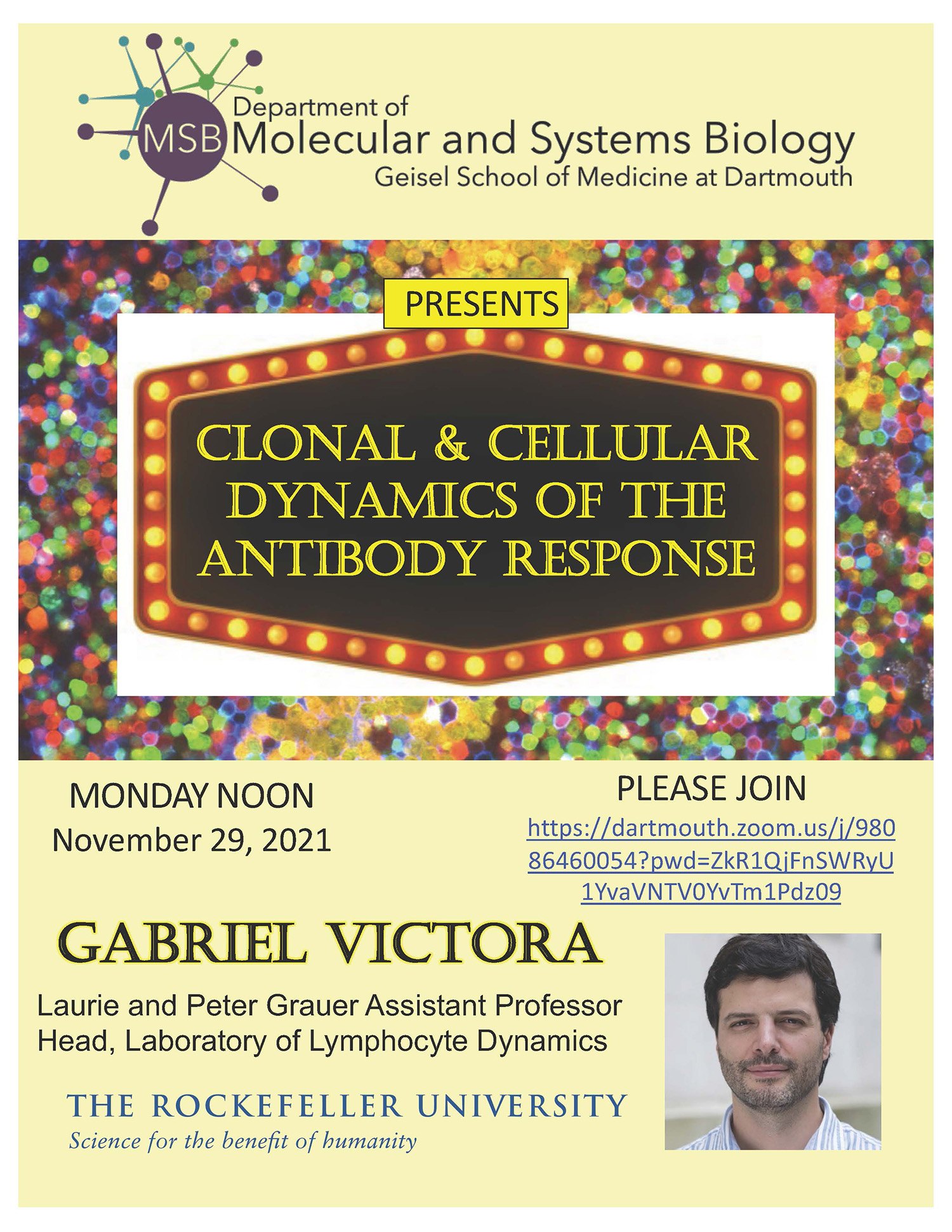 Clonal & Cellular Dynamics of the Antibody Response