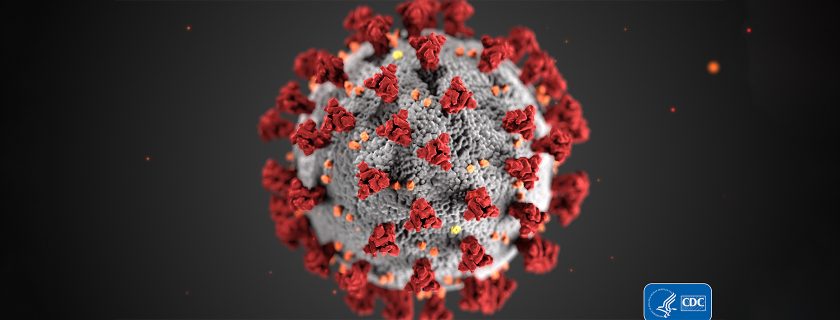 This illustration, created at the Centers for Disease Control and Prevention (CDC), reveals ultrastructural morphology exhibited by coronaviruses. Note the spikes that adorn the outer surface of the virus, which impart the look of a corona surrounding the virion, when viewed electron microscopically. A novel coronavirus, named Severe Acute Respiratory Syndrome coronavirus 2 (SARS-CoV-2), was identified as the cause of an outbreak of respiratory illness first detected in Wuhan, China in 2019. The illness caused by this virus has been named coronavirus disease 2019 (COVID-19).

PHoto credit: CDC/Alissa Eckert, MS; Dan Higgins, MAM
