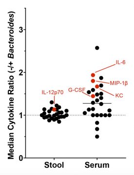 Shown in red, cytokines that are higher in the serum (systemically) in the absence of the key immune-modulating gut microbe Bacteroides.